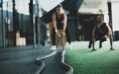Navigating the Landscape of Pre-Owned Fitness Equipment: Unveiling the Undiscussed